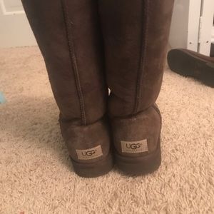 Tall Chocolate Brown Uggs